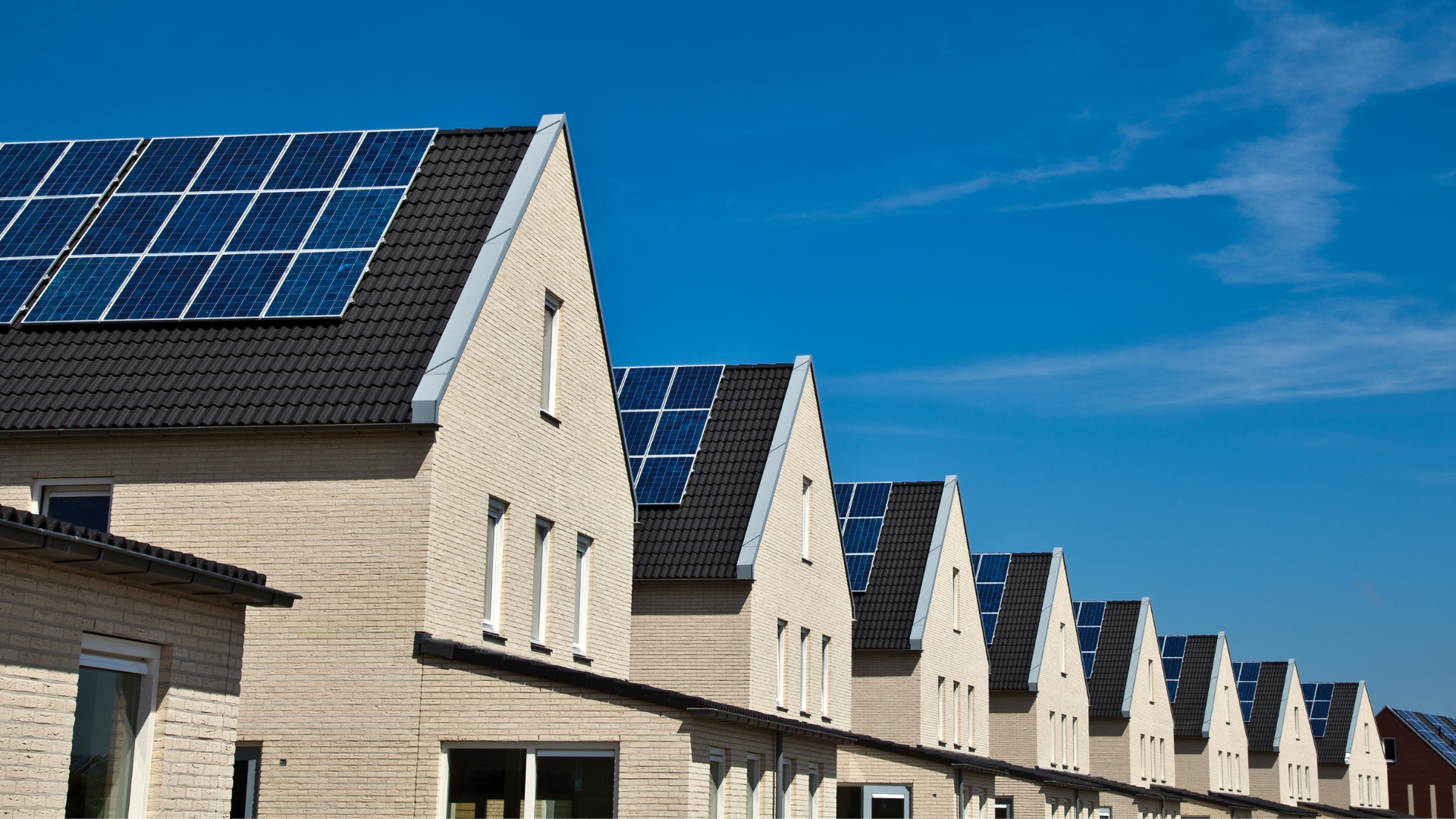 Renovables ahora: La urgencia de acelerar la transición energética